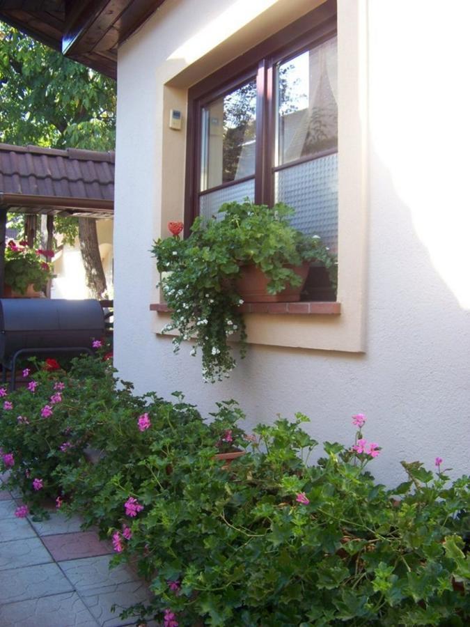 Pensiunea Casa Alba Ghimbav Exteriör bild